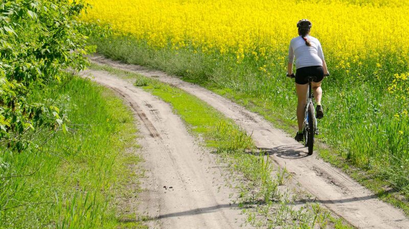 Einfluss von Bewegung auf das Gehirn